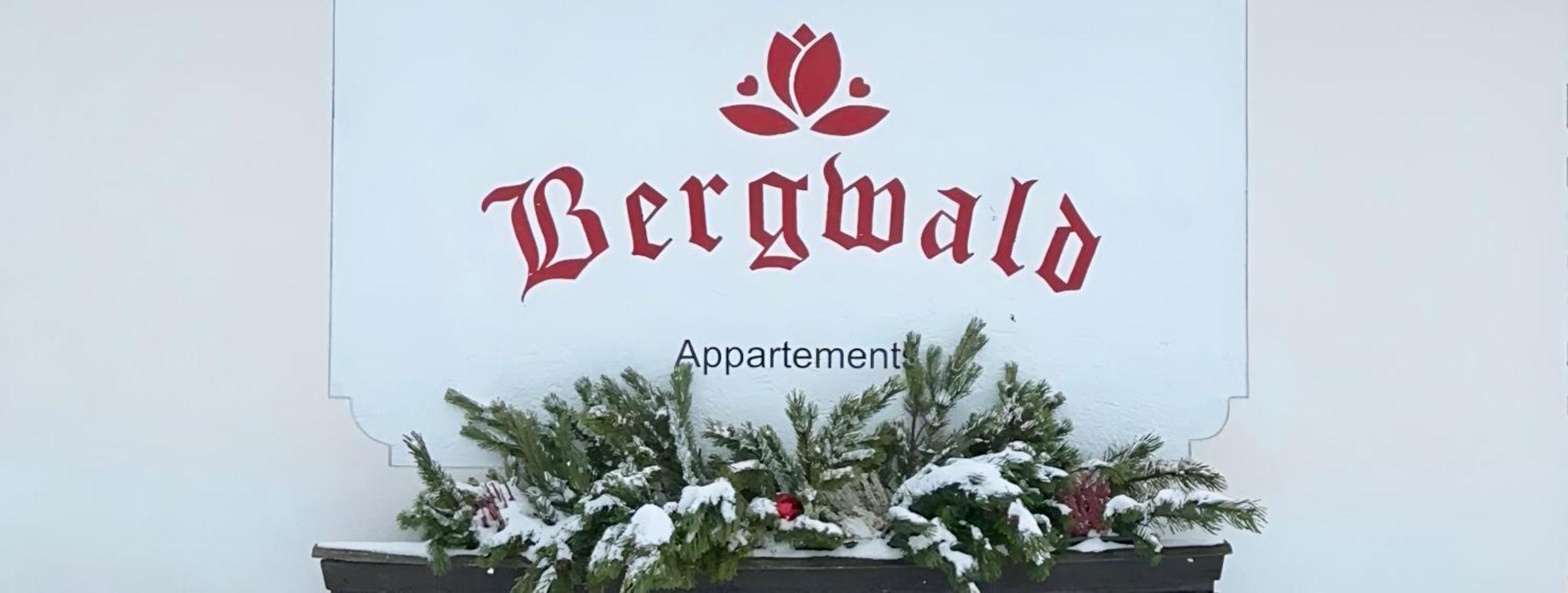 Bergwald Apartment Alpbach Luaran gambar